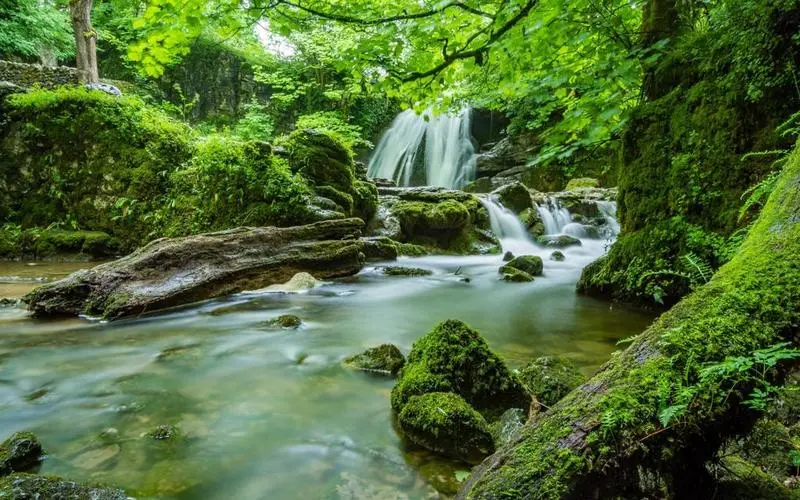 稳定性高标准
